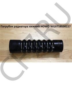 WG9719530227 Патрубок радиатора нижний  HOWO в городе Воронеж