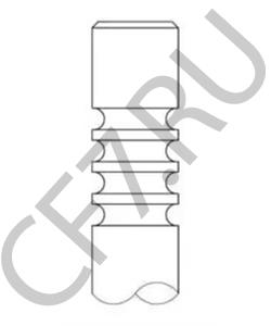 12141772 Впускной клапан MWM в городе Воронеж