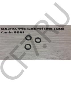 3922794 Кольцо упл. трубки смазки турб-компр. Валдай Cummins CUMMINS FOTON в городе Воронеж