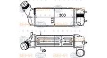 CITROËN Интеркулер
